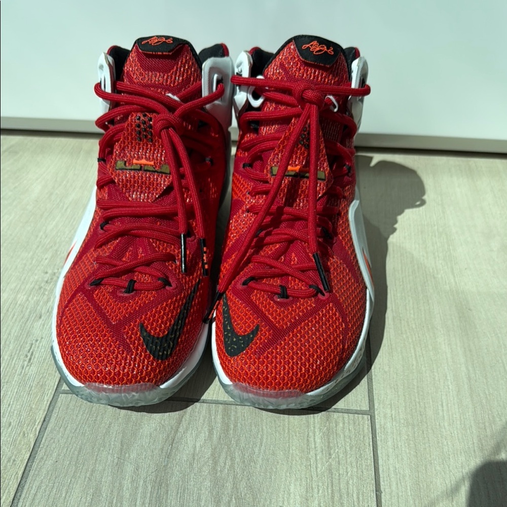 Nike Heart of the Lion Red and Black Men's Sneakers